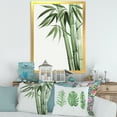 thumbnail image 3 of Designart 'Palm Bamboo Detail On White II' Traditional Framed Art Print, 3 of 4