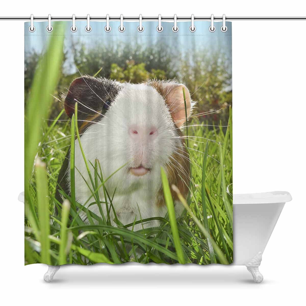 MKHERT Guinea Pig Dutch Rats Waterproof Shower Curtain Decor Fabric