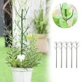 thumbnail image 2 of Landzoo One Support Gold Climbing Clips Clips For Climbing Indoor Support Monstera Leaf Growth Accessories For A Lover Practical Basic Rattan Clip For Garden, 2 of 4