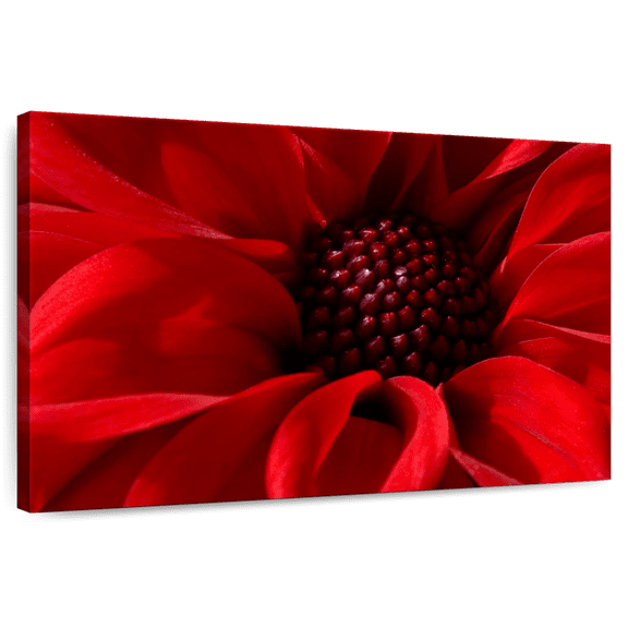 Elephant Stock Red Flower Bloom Wall Art - Horizontal Canvas Wall Art - Living Room Wall Decor - Floral And Botanical Canvas - Red And Black Decor - 12" x 8"