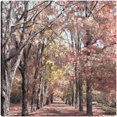 thumbnail image 1 of Cuadro Decorativo - Rango de otoño Jr  Impresión en canvas, estrechado, 1 of 2