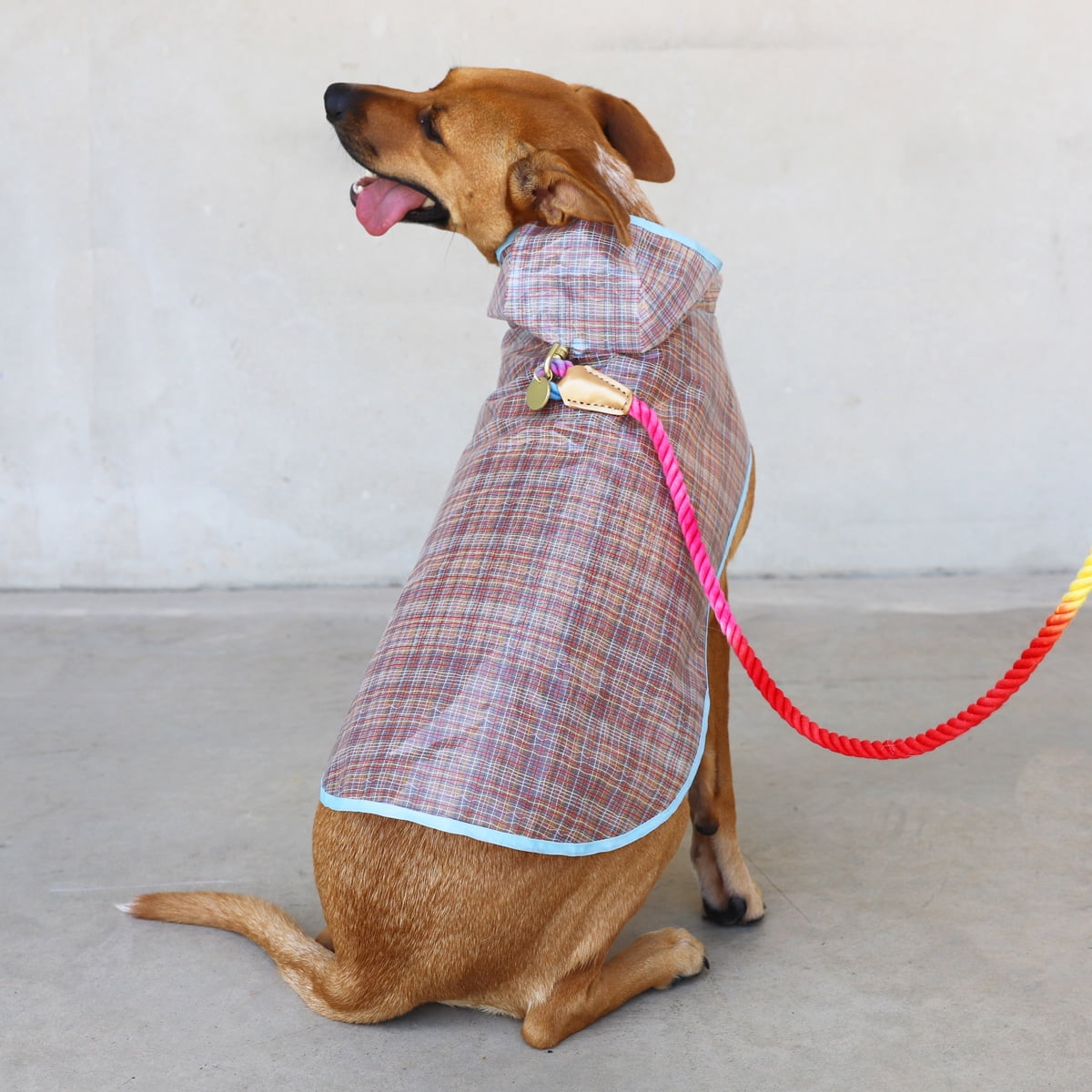 Packed Party Raincoat for Dogs, Grid, XL