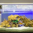 thumbnail image 4 of OHOIOLLA 3Ud De Acuario Con De Buzos Flotantes En Resina Para Y Ambiente Estético, 4 of 8