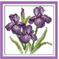 thumbnail image 3 of Rongfmy 2Set Flower Dimensions Craft Stamped Cross Stitch Kits for Beginners, 3 of 8
