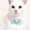 Blue/M, variant on HOARBOEG Princess Style Pet Pearl Bow Choker Necklace for Small Dogs Cats, Adjustable Pet Collar with Faux Pearls for Birthday Party Photoshoot, Elegant Pet Fashion Accessory Gift for Pet Owners
