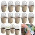 thumbnail image 5 of Yucurem 10Pcs Seedling Cup Plant Growing Cup Versatile Gardening Supplies Gardening Supplies (8cm Side Hole), 5 of 10
