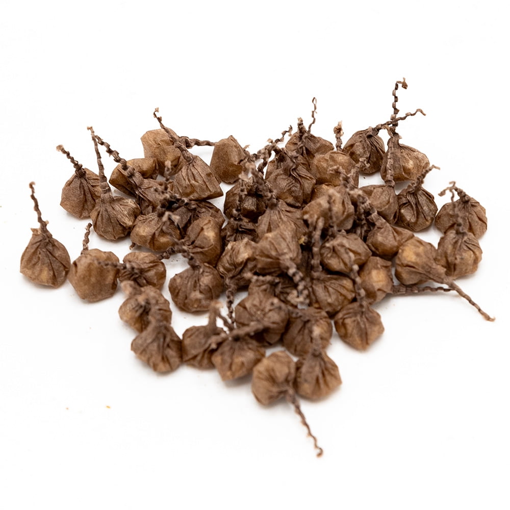 TNT Fireworks, Reindeer Poop, Holiday Pop-its, Snappers, Any Occasion