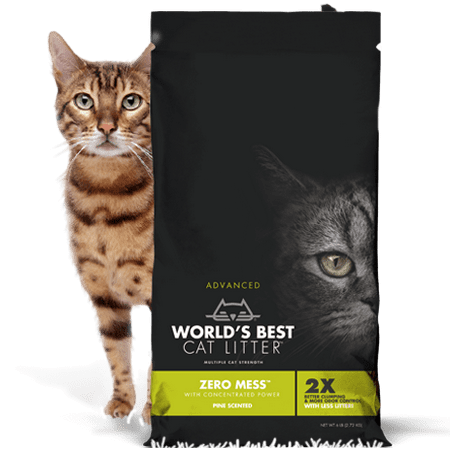 World's Best Cat Litter™ Advanced Zero Mess™ Pine Scented Cat Litter 6