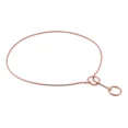 thumbnail image 1 of Alvalley Collar De Cadena De Metal Para Exposición De Perros, 1 of 6
