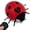 Ladybug, variant on Tipmant Remote Control Ants Toy RC Car Vehicle Animal Electric Insect Cat Kids Children Birthday Christmas Gift