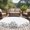 Black, variant on Wildflower Leaf Round Area Rug 5 FT, Non Slip Bedroom Rugs, Grey Floral Botanical White Watercolor Washable Soft Circular Carpet Non-Shedding Floor Mat for Kitchen Dining Room Foyer Balcony Dorm