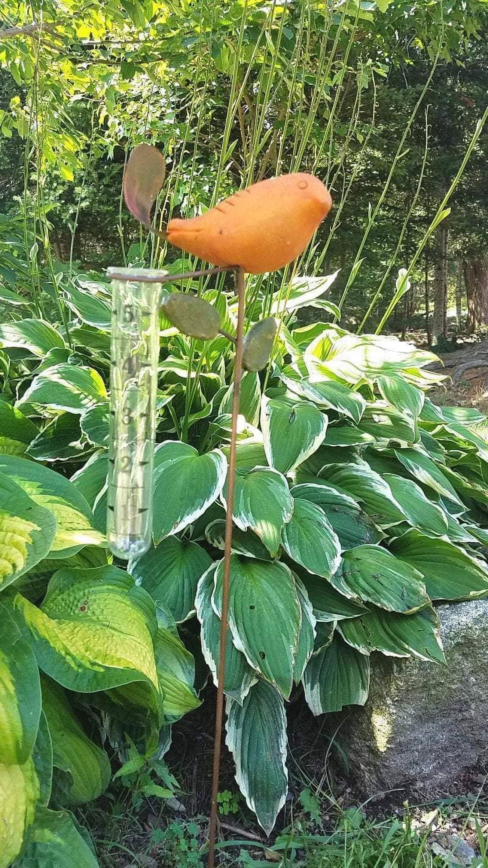 Happy Gardens Handcrafted Decorative Outdoor Rain Gauge