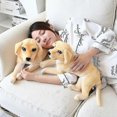 thumbnail image 4 of Simulation Golden Retriever Doll Plush Toys Cute Large Dog Guide Dog Stuffed Soft Animal Toys For Kids Accompany Doll Gifts XiXi, 4 of 5
