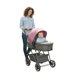 thumbnail image 1 of Carriola con Portabebe D´Bebe  Queen Rosa, 1 of 7