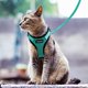 thumbnail image 5 of Bufanda para gato con correa, bufanda y correa para gato, bufanda ajustable para gato, bufanda para gato y chaleco transpirable para collar, adecuada para gatos europeos, artículos para mascotas, 5 of 5