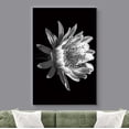 thumbnail image 2 of wall26 Canvas Print Wall Art Blooming Cereus Flower Close Up Nature Plants Photography Modern Art Rustic Scenic Dramatic Black and White for Living Room, Bedroom, Office - 16"x24", 2 of 5