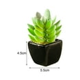 thumbnail image 6 of Potted Plant Simulated Easy to Care Mini Assorted Decorative Succulent Artificial Pot for Home Black Ceramic, 6 of 8