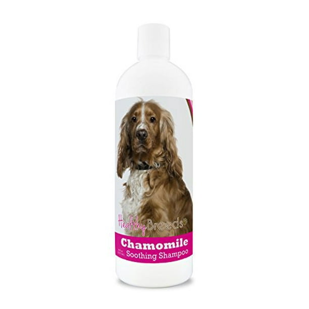 Healthy Breeds Chamomile Dog Shampoo Conditioner With Oatmeal Aloe For English Cocker Spaniel Over