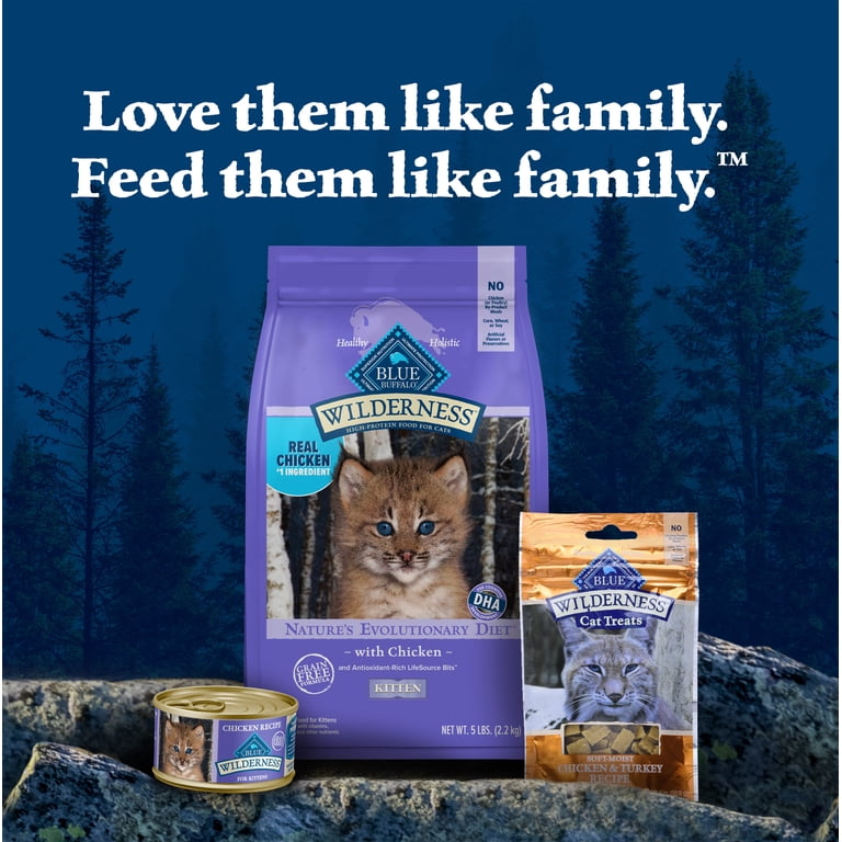Blue Buffalo Kitten Food, High-Protein Dry Cat Food with Real