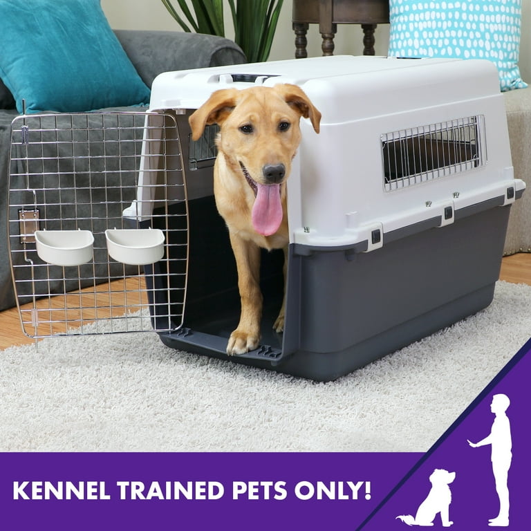 Sportpet Designs Plastic Dog IATA Airline Approved Kennel Carrier XXL 1 Piece