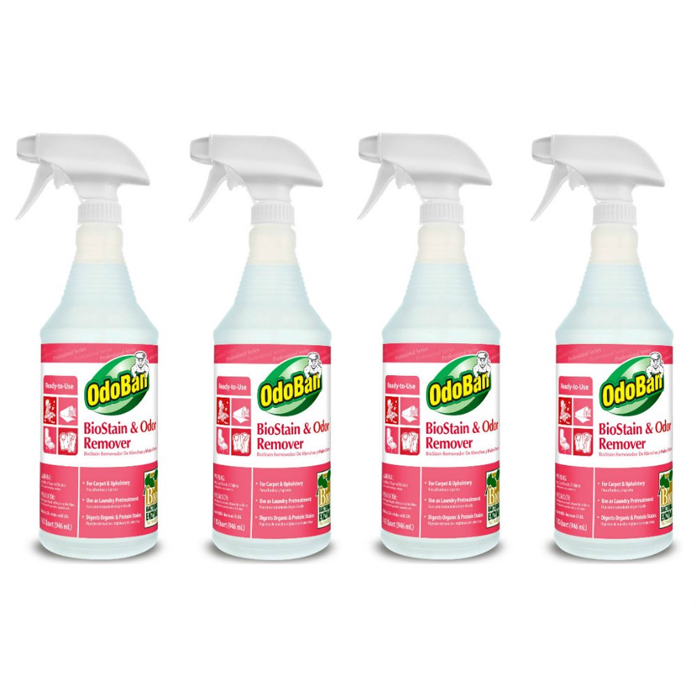 OdoBan Professional Cleaning BioStain and Odor Remover for Carpet and