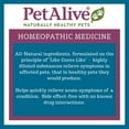 thumbnail image 6 of PetAlive® ComfyPet Pain Relief 2 Pack, 6 of 8