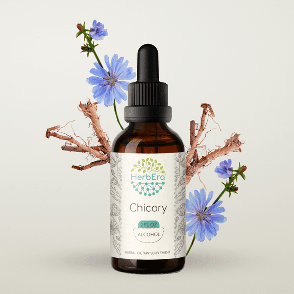 Chicory Alcohol Herbal Extract Tincture, Super-Concentrated Organic Chicory (Cichorium Intybus) Dried Root 2 oz