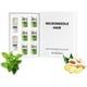 thumbnail image 1 of Kit de renovación capilar Micro Infusion, sistema de regeneración capilar con microagujas, fortalece las raíces, hidrata y da volumen al cabello fino o con aspecto debilit., 1 of 1