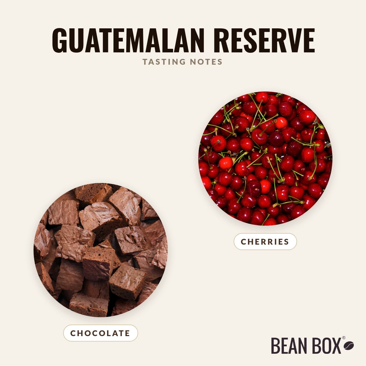 Guatemalan Reserve - Roasted by Vashon Island Coffee Roasterie - Whole Bean Coffee - 5lb Bag