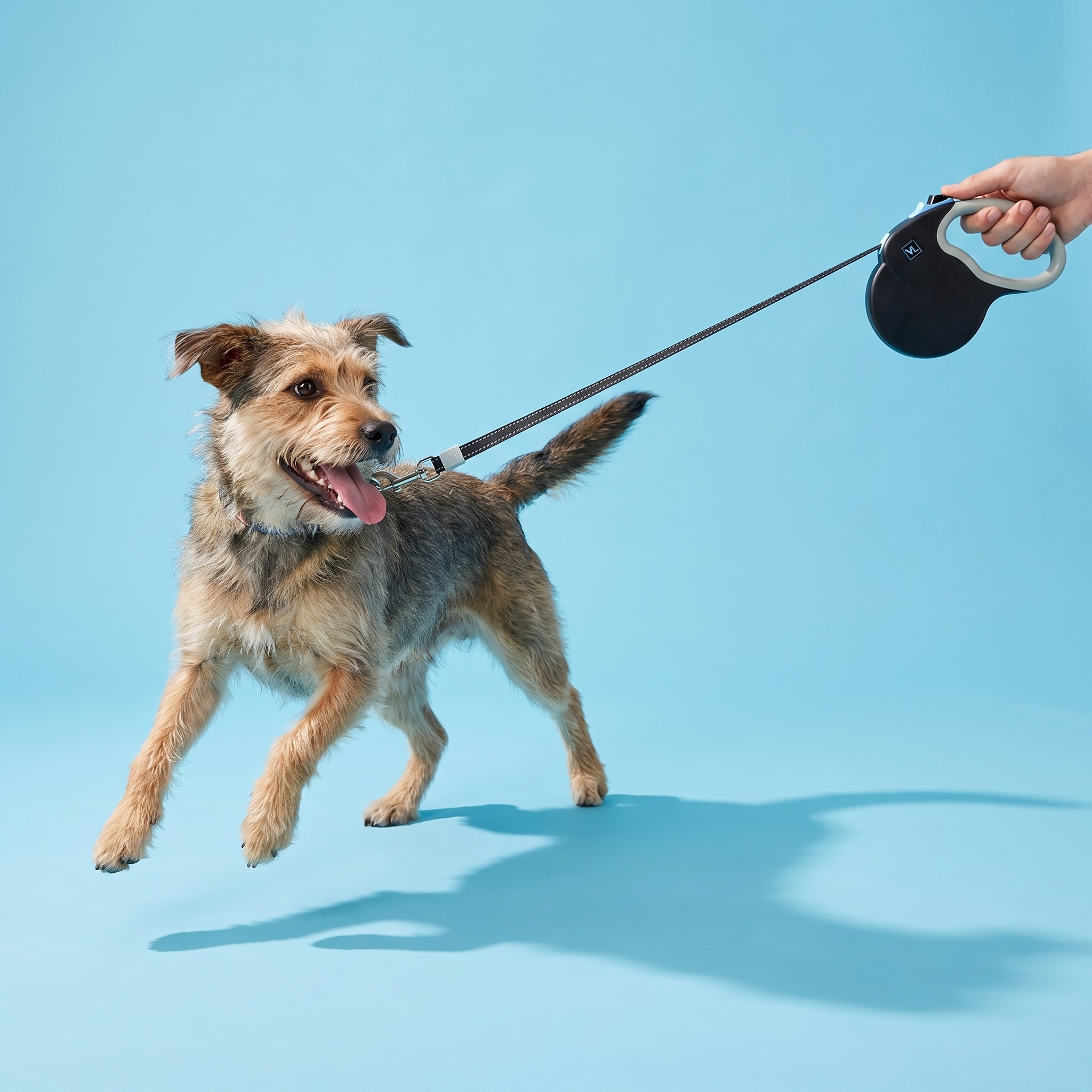 Vibrant Life 13-Foot Reflective Retractable Tape Leash, Black, Medium photo 3