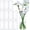 12 Pack 8 Inch, variant on Glass Cylinder Vases  Tall Clear Flower Vases for Centerpieces Wedding Decoration, Hurricane Floating Candle Holder for Party Table Home Decor