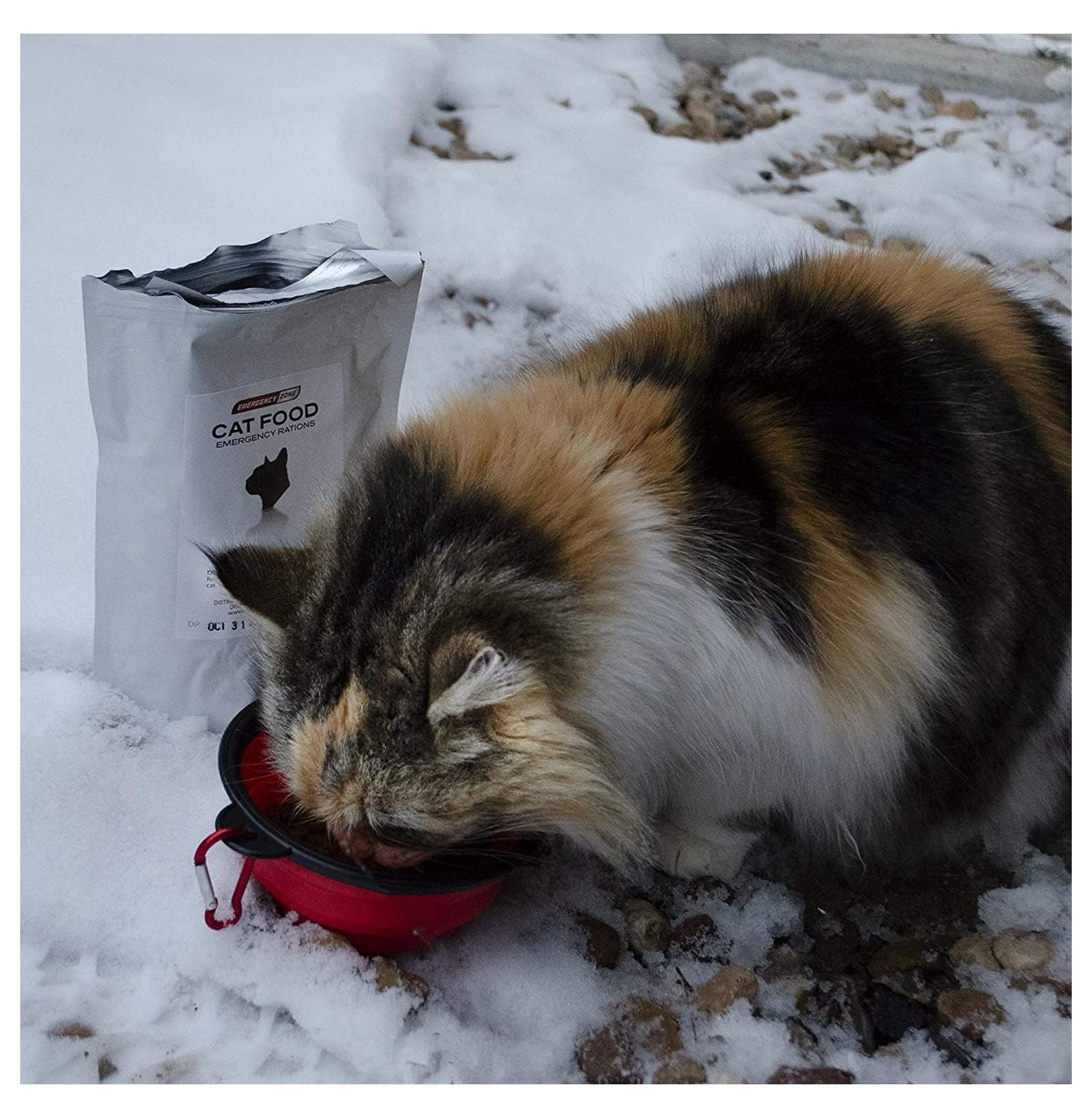 - Cat Emergency Survival Kit - Bug Out, Emergency, Travel Kits, First Aid - Deluxe