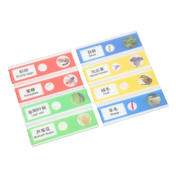 Microscope Specimen Slides, Educational Insects Plants Clear Prepared