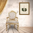 thumbnail image 3 of Silva, John 19x24 Gold Ornate Wood Framed with Double Matting Museum Art Print Titled - Silva Leaves VI, 3 of 4