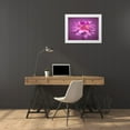 thumbnail image 3 of Frank, Assaf 24x19 White Modern Wood Framed Museum Art Print Titled - Dahlia Flower, 3 of 4