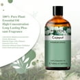 thumbnail image 4 of PHATOIL Cajeput Aromatherapy Oils for Diffuser, Humidifier - 100ML, 4 of 8