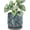Ocean Teal, variant on D'vine Dev 5 Inch Embossed Leaves Stoneware Planter Pot with Drainage Hole and Saucer, Olive, 27-A-V-0