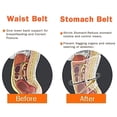 thumbnail image 3 of Belly Binder Waist Support Strap - Compression wrap for men and women, 3 of 6