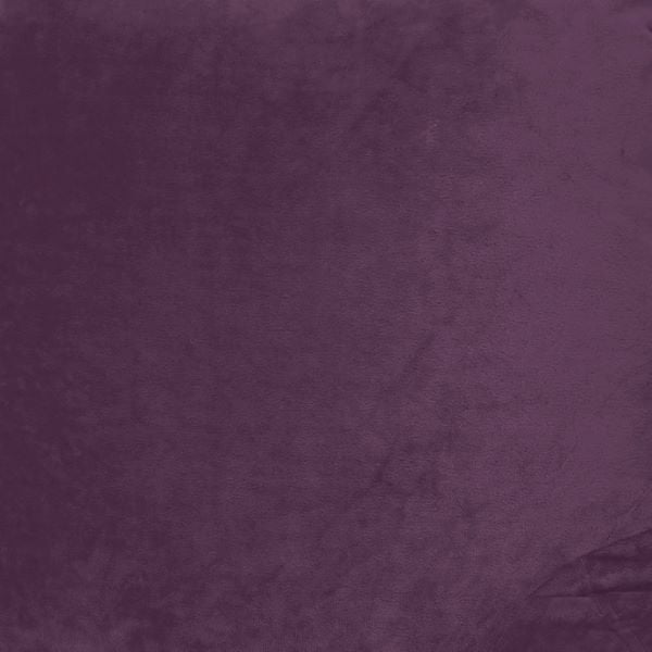 Purple Eggplant