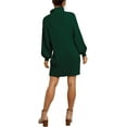 thumbnail image 5 of Women Turtleneck Long Lantern Sleeve Casual Loose Oversized Sweater Dress Soft Winter Pullover Dresses, 5 of 5