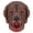 Dog1, variant on Full Head Dogs Mask,Realistic Dog Head Mask,Spoof Animal Pup Costume for Halloween Role-Play Party,Animal Head Masks