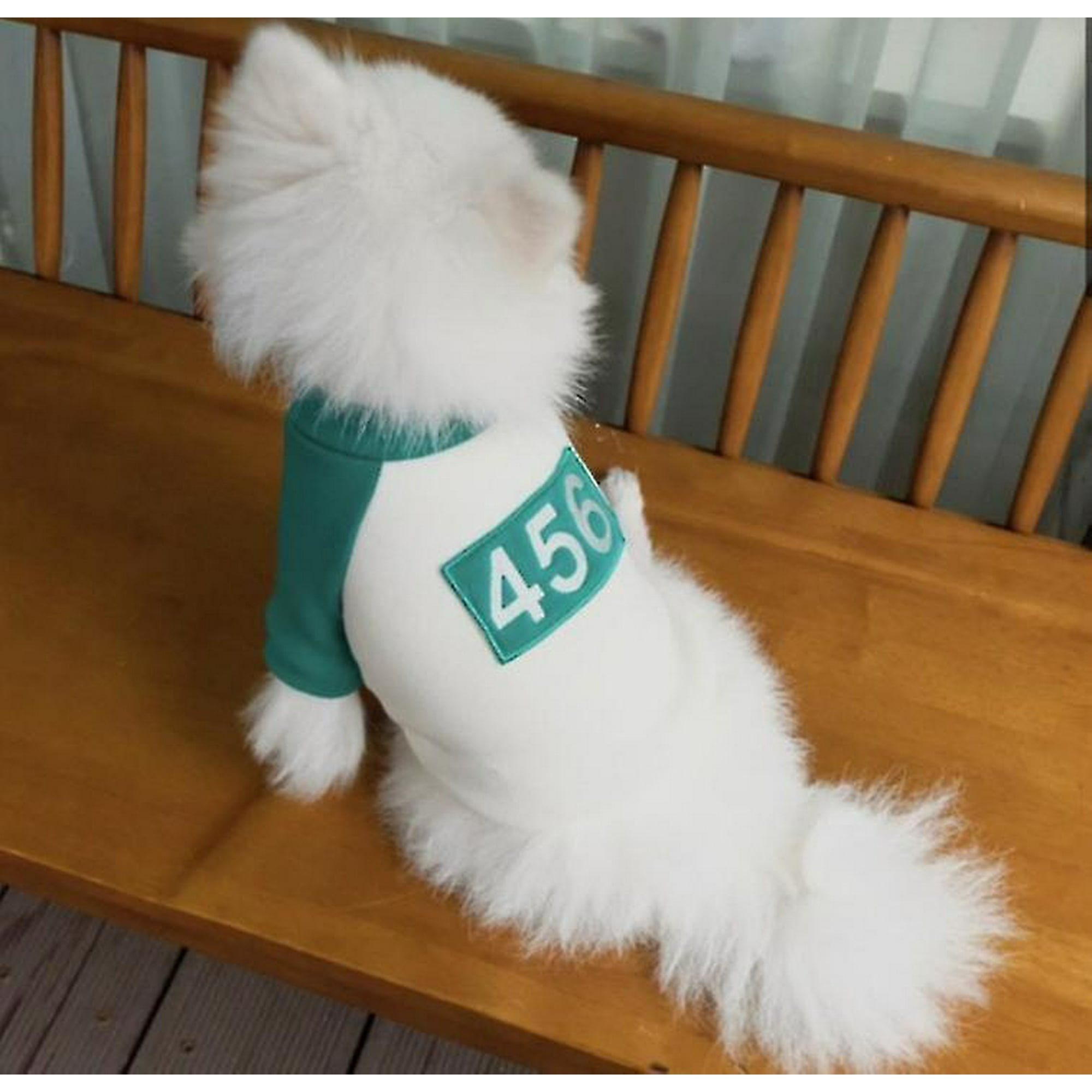 Pet Squid Game Cat Dog Hoodie Warm Costume Clothes | Walmart Canada