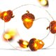 thumbnail image 1 of Cadena de luces LED 20 luces de bellota LED Cadena de luces de hadas alimentadas por batería de 6.5 pies con control remoto para Acción de Gracias Dormitorio de otoño Navidad Otoño de Halloween kaili Sencillez, 1 of 5