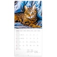 thumbnail image 3 of Calendar 2024-2025, Cats Wall Calendar, Monthly Calendar, 16 Month Hanging Calendar Sep 2024 - Dec 2025, 12x12 in., 3 of 5