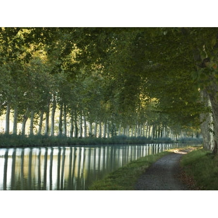 France, Languedoc-Rousillon, Canal Du Midi Print Wall Art By Katie