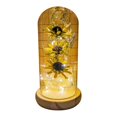 thumbnail image 1 of Eternal Flower Romantic Luminous Wooden Base Transparent Dome Flower Light for Valentine‘s Day, 1 of 8