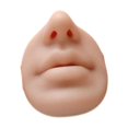 thumbnail image 3 of Bothyi Silicone Nose Lip Model Piercing Practice Skin Mannequin Teaching Tool Fake Nose Deep Skin, 3 of 8