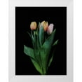 thumbnail image 1 of Yosuji, Kasetsu 12x14 White Modern Wood Framed Museum Art Print Titled - glaze, 1 of 4