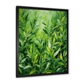 thumbnail image 2 of Designart "Tales of Tarragon Herbs I" Floral Framed Wall Art - Traditional Green Herbs Entryway Framed Wall Art, 2 of 6