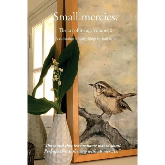 Small mercies, (Paperback)
